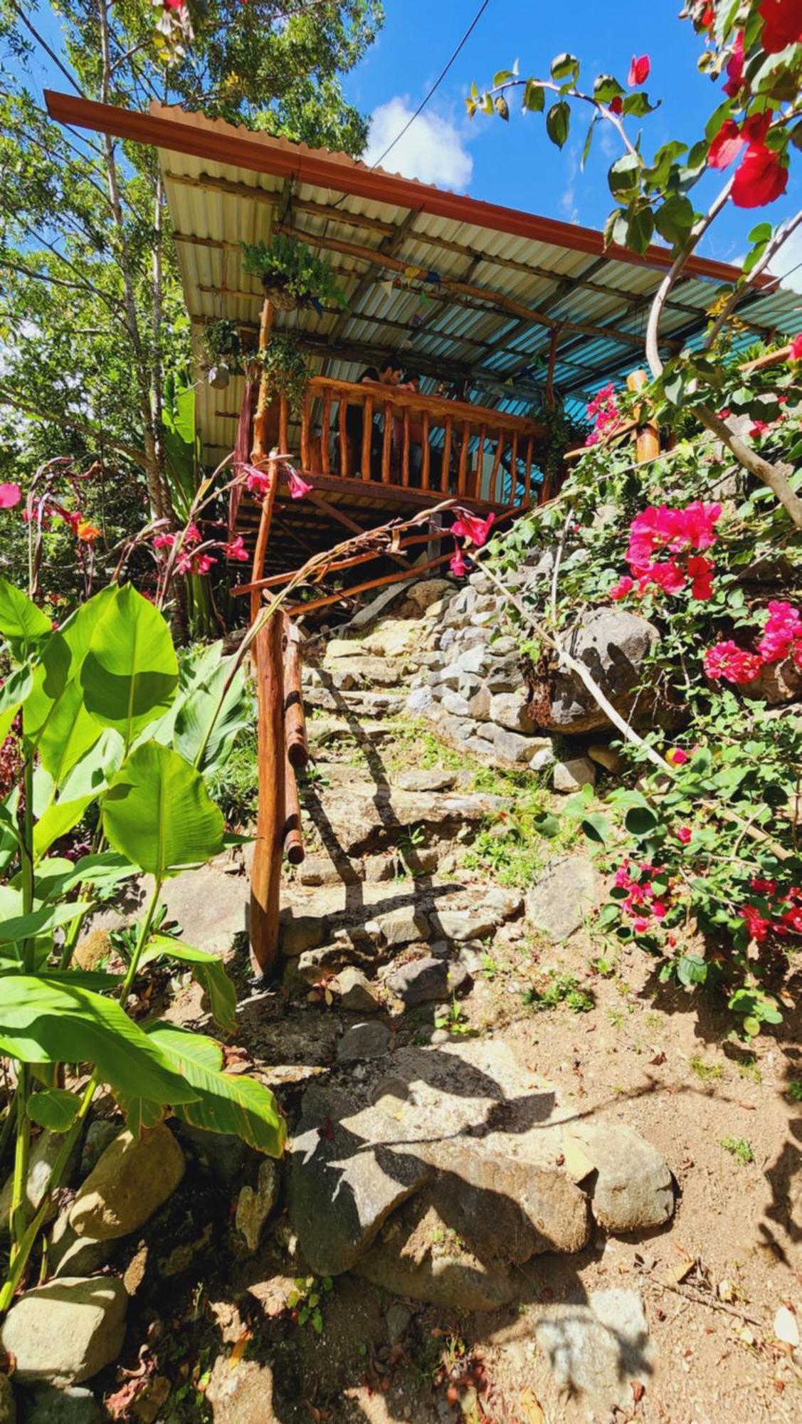 Hospedajes Richie Eco Camp Providencia Luaran gambar