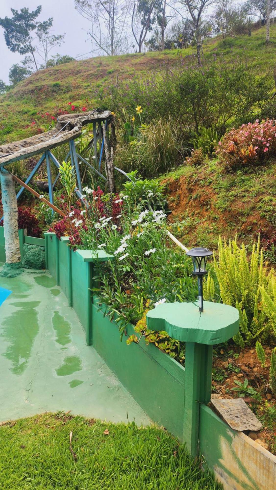 Hospedajes Richie Eco Camp Providencia Luaran gambar
