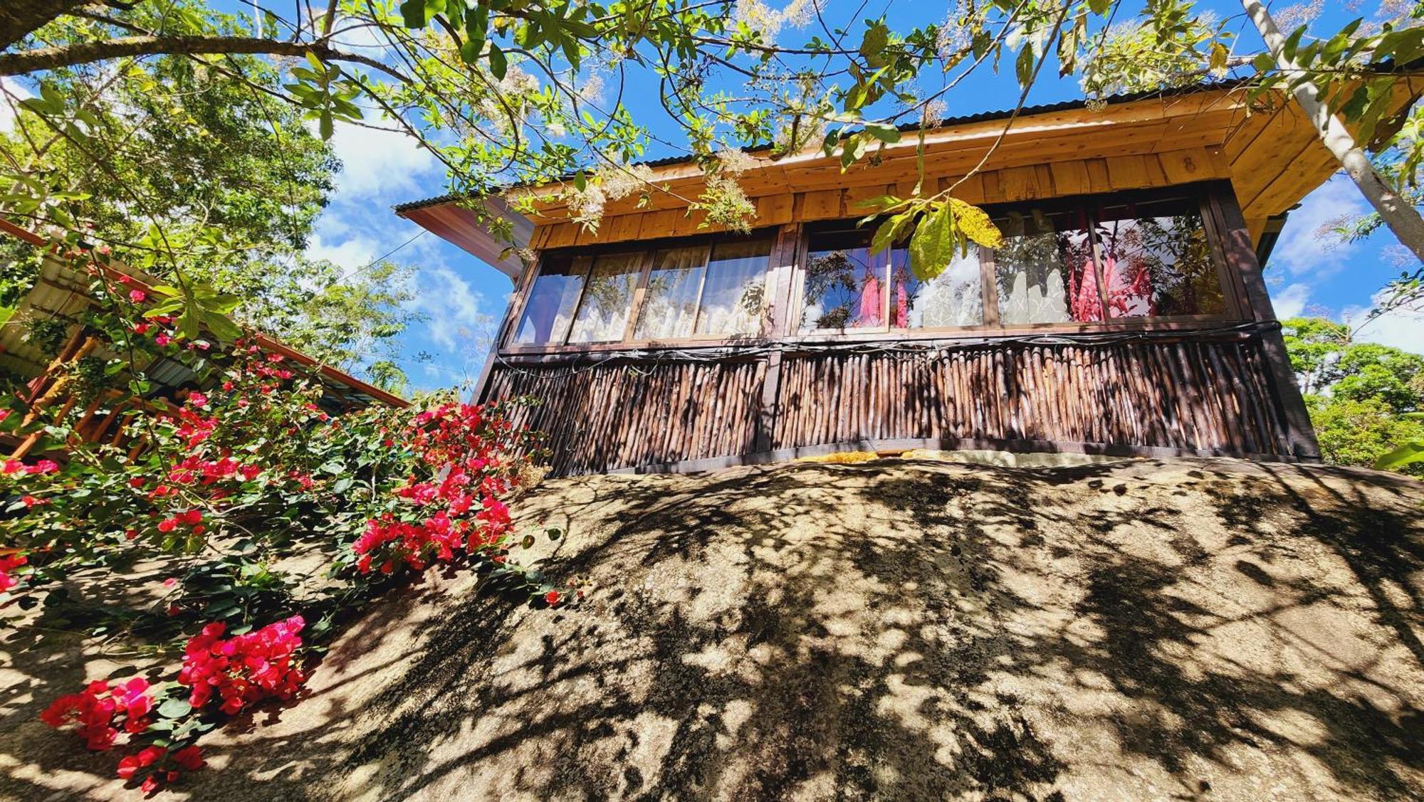 Hospedajes Richie Eco Camp Providencia Luaran gambar