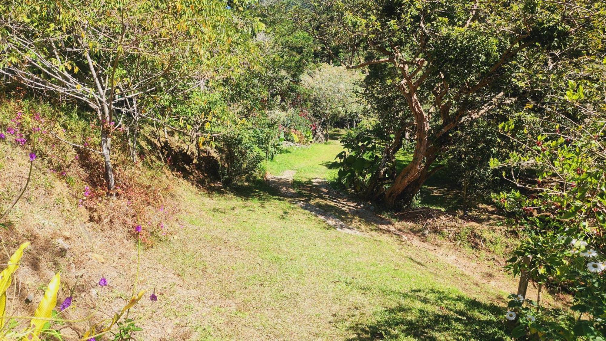 Hospedajes Richie Eco Camp Providencia Luaran gambar