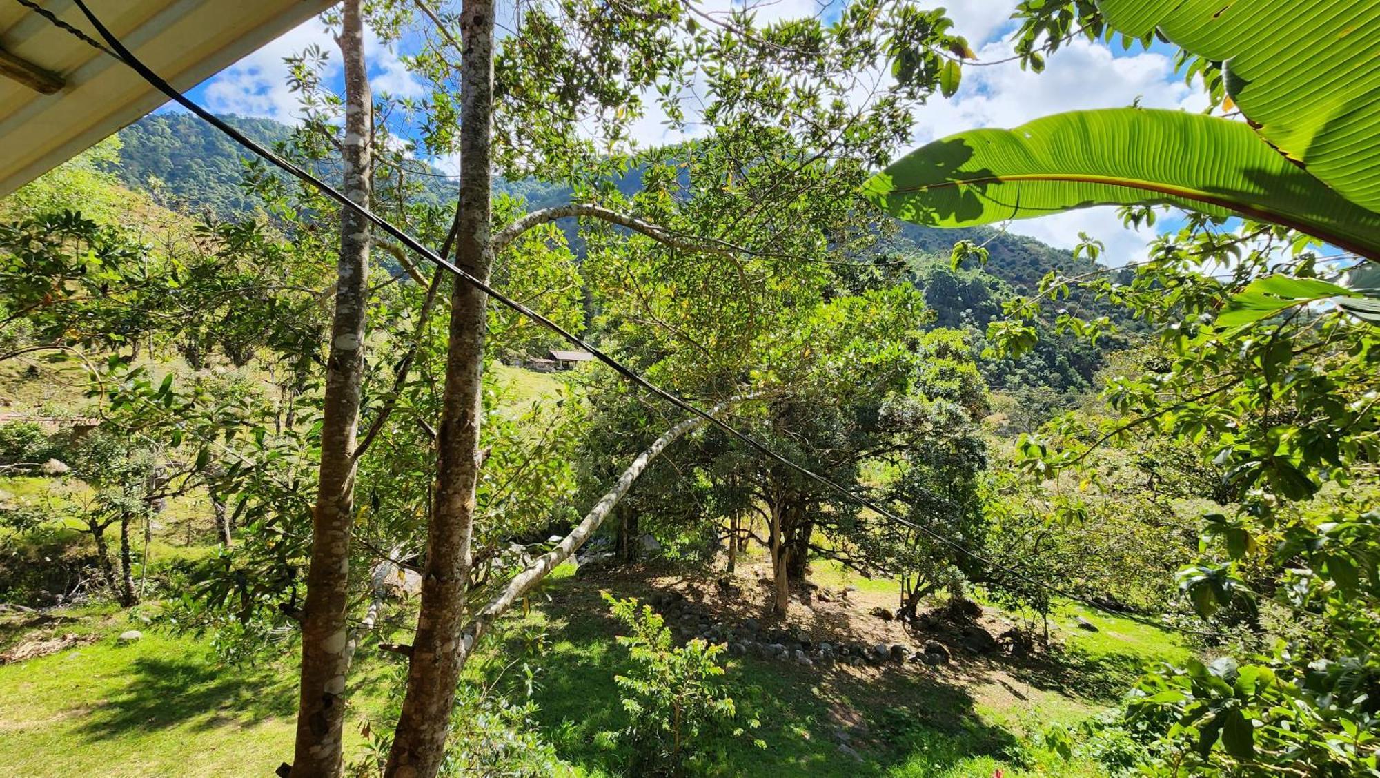 Hospedajes Richie Eco Camp Providencia Luaran gambar