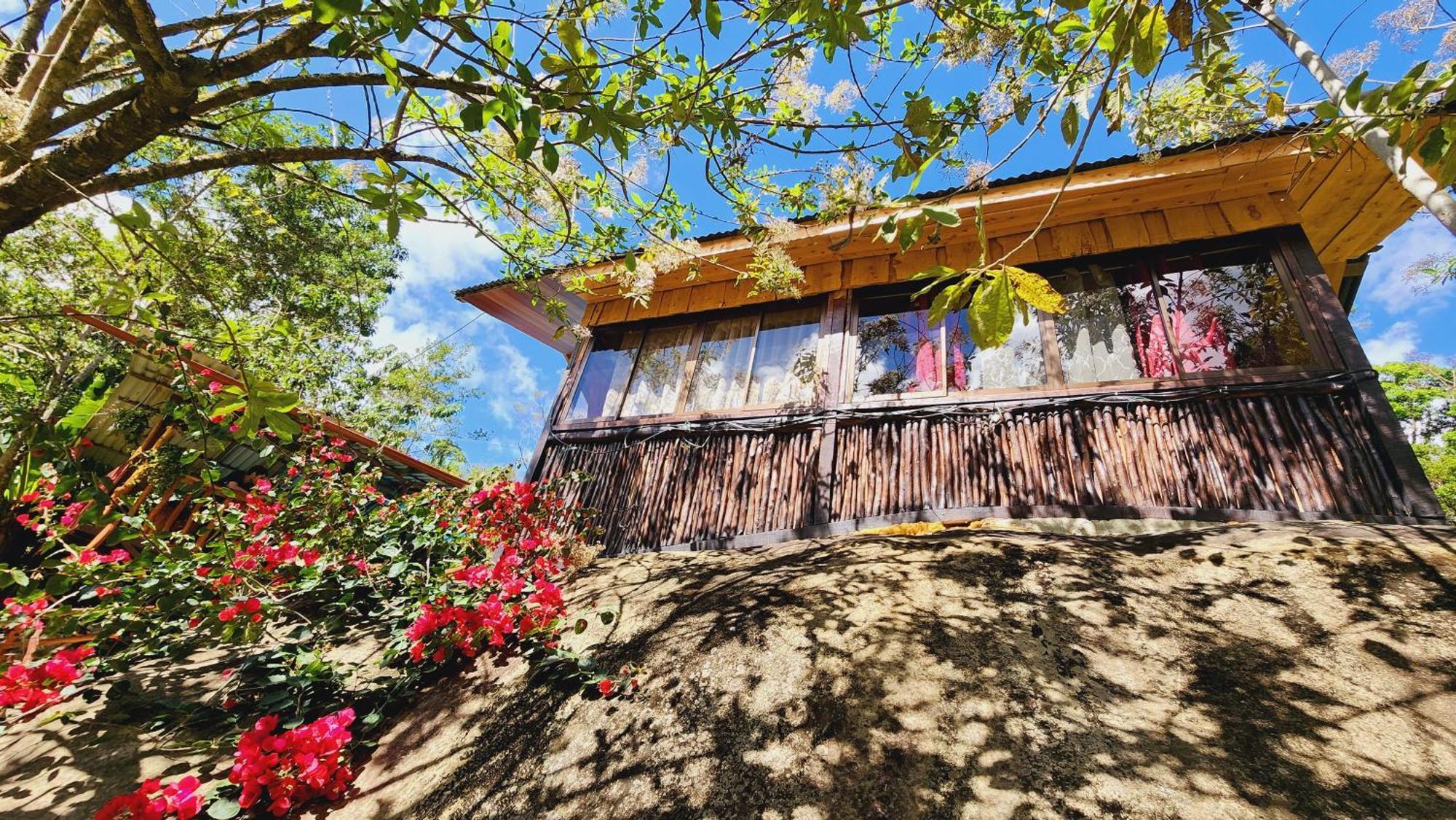 Hospedajes Richie Eco Camp Providencia Luaran gambar